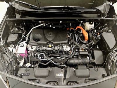 2024 Toyota Venza XLE