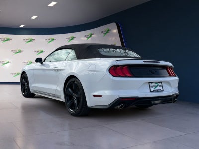 2022 Ford Mustang EcoBoost